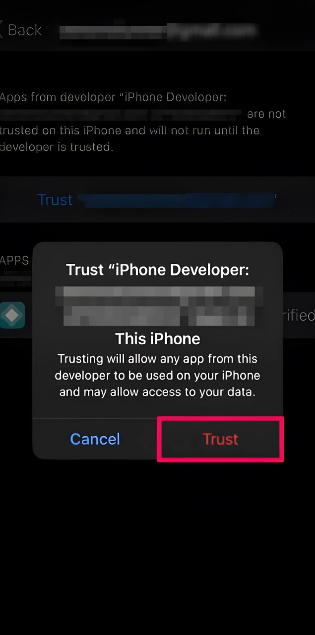 Trust the Melbet profile in settings to enable app usage.